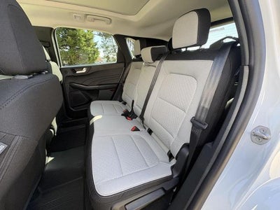 2026 Ford Escape Active®