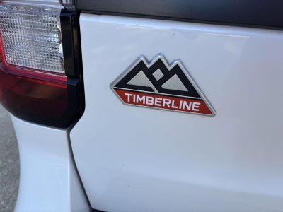 2024 Ford Expedition Timberline