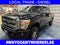 2015 Ford Super Duty F-250 SRW Platinum