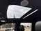 2024 Ford Super Duty F-250 SRW Platinum