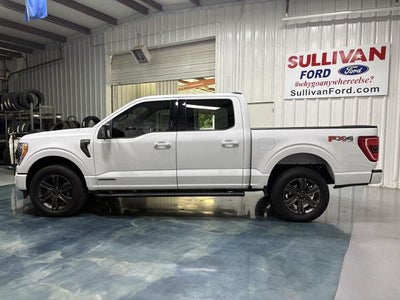 2023 Ford F-150 XLT