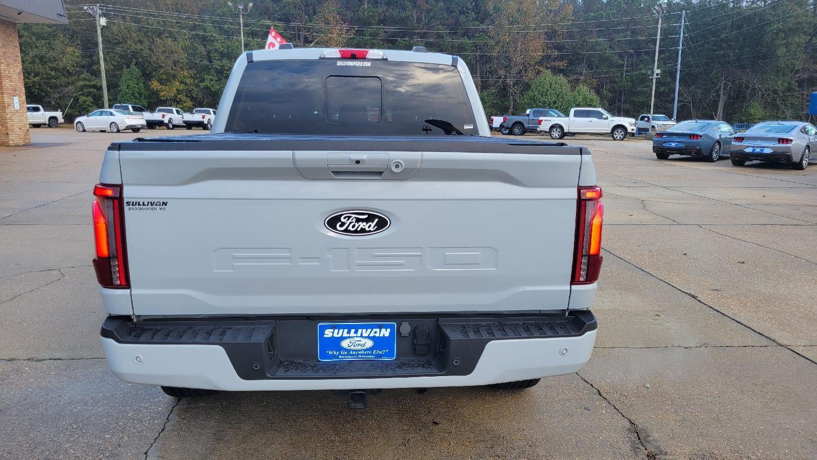 2024 Ford F-150 Platinum