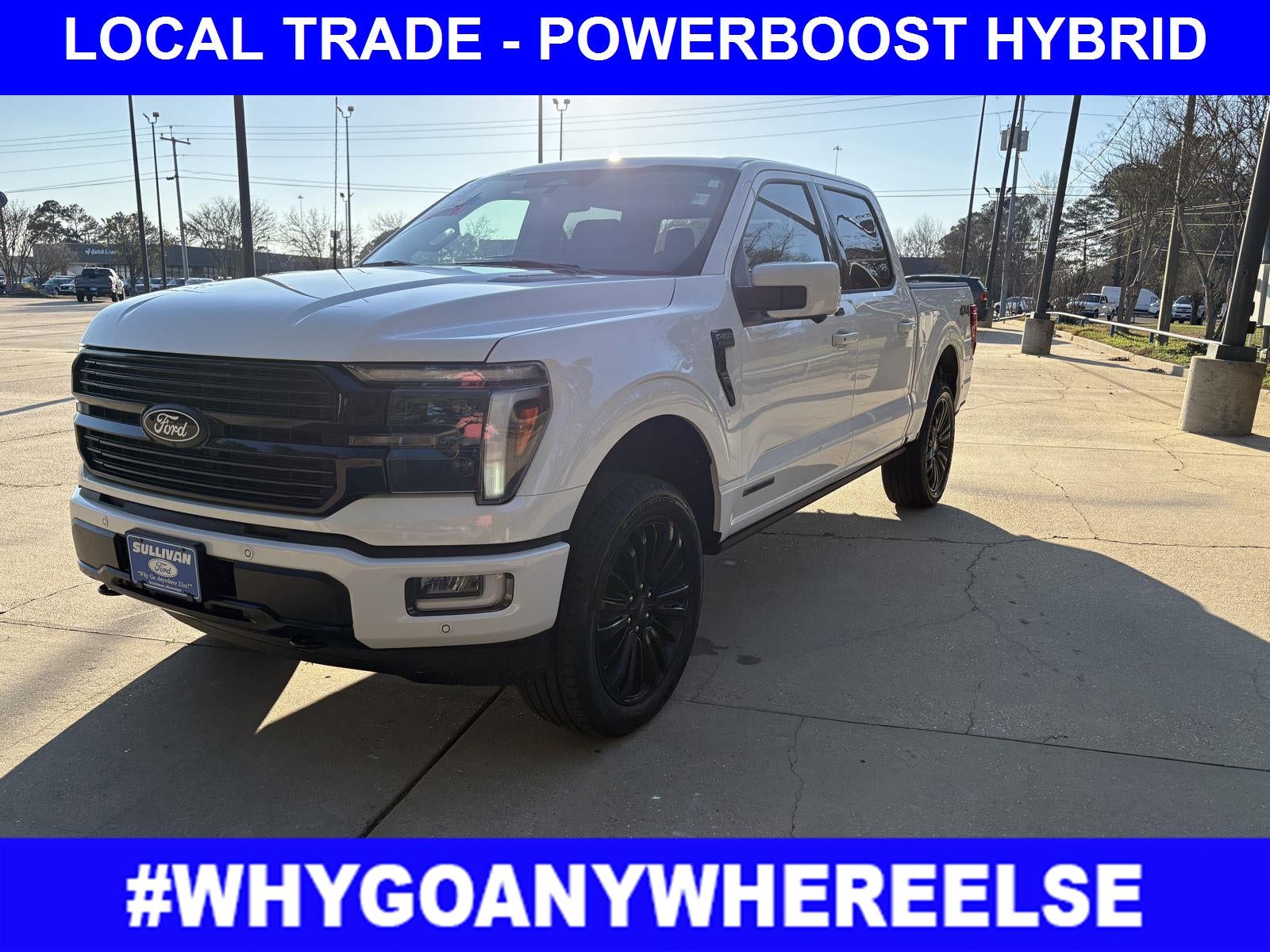 2025 Ford F-150 Platinum