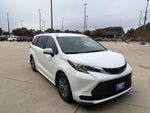 2023 Toyota Sienna LE